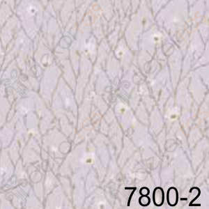 SEVEN DUVAR KAGIDI 7800-2
