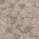 DECOWALL DUVAR KAGIDI ORLANDO 1509-05