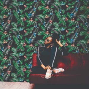 DECOWALL DUVAR KAGIDI RETRO 5009-01